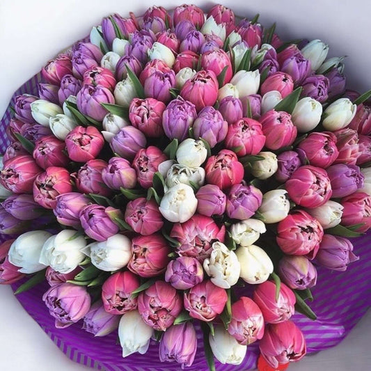 Large bouquet of 100 fresh mixed tulips purple pink white with free same day flower delivery Los Angeles