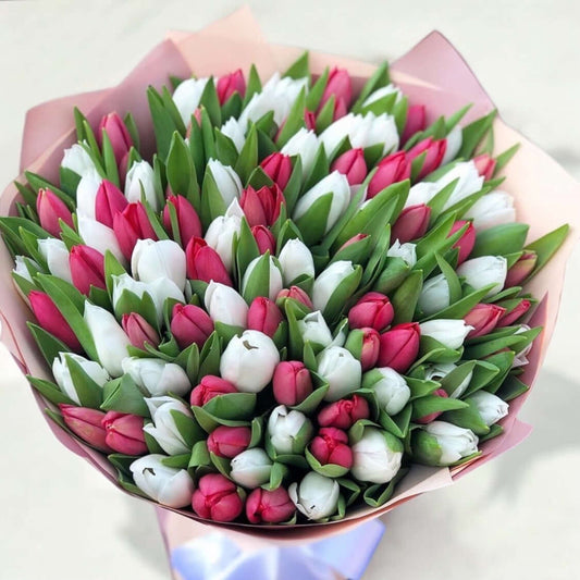 Bouquet of 100 fresh tulips in pink and white with free same day delivery in Los Angeles