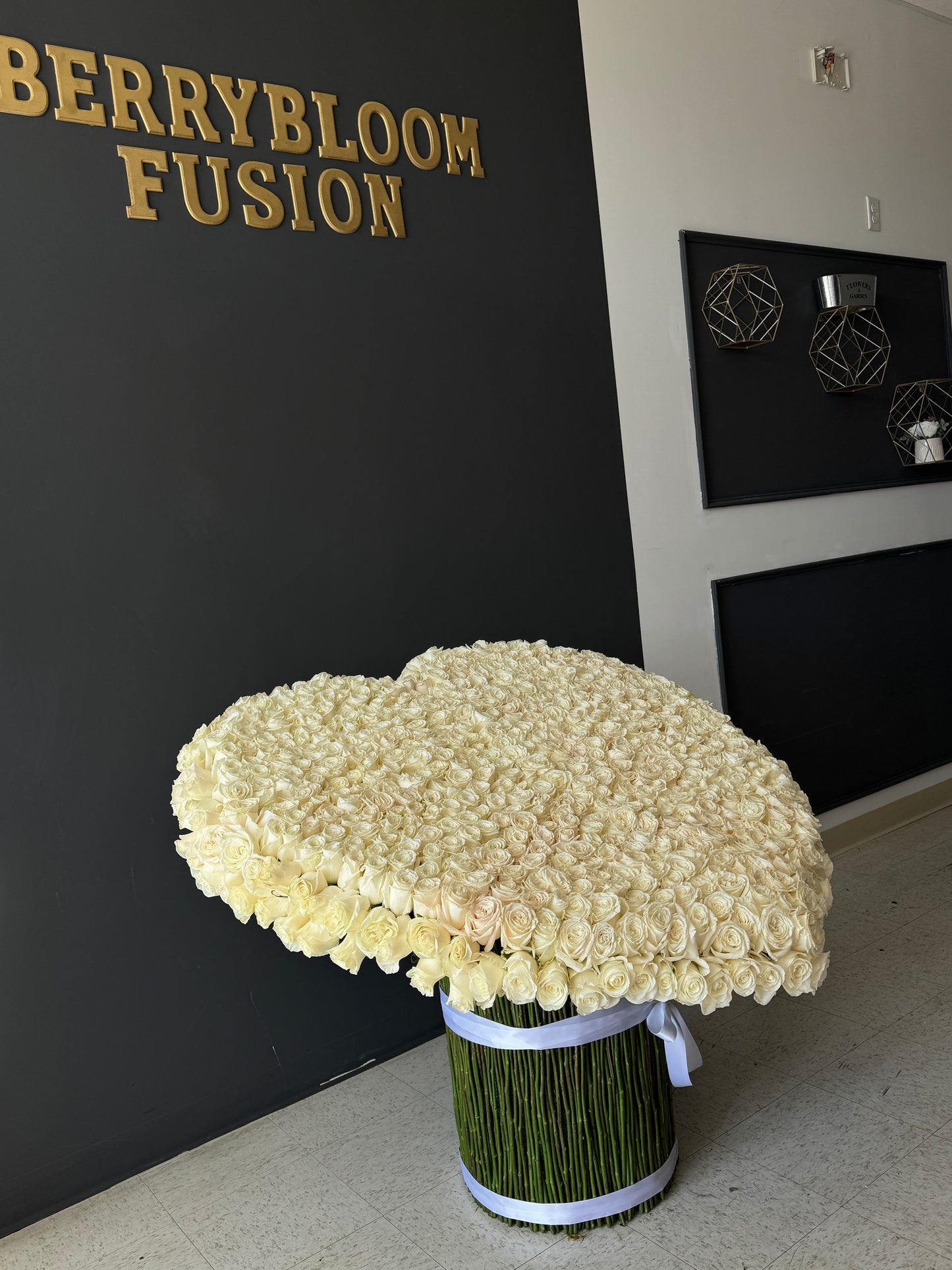 700 white roses