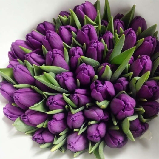 Large bouquet of fresh purple tulips for same day flower delivery in Los Angeles