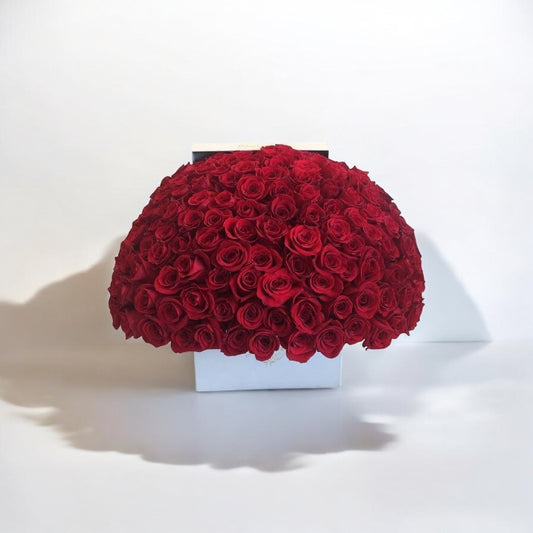 Elegant box of red roses perfect for same day flower delivery, ideal gift for any occasion, order online with free delivery near you