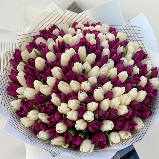 Fresh bouquet of 200 purple and white tulips, same day flower delivery in Los Angeles