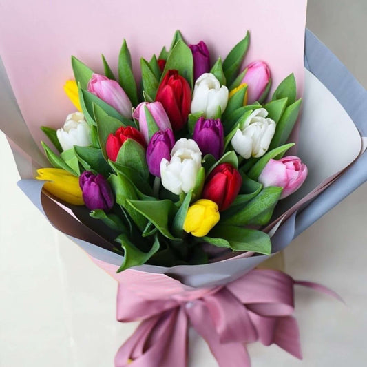 Same day tulip delivery - fresh tulips for gifts