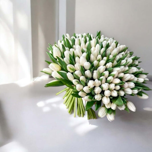 Large bouquet of 170 white tulips with same day flower delivery in Los Angeles