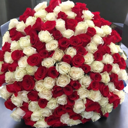 200 Red and White Roses