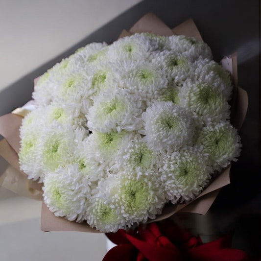 30 White Chrysanthemums