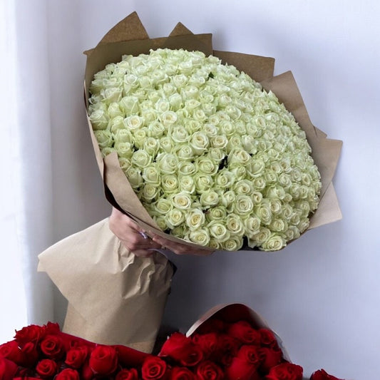 Luxurious White Roses