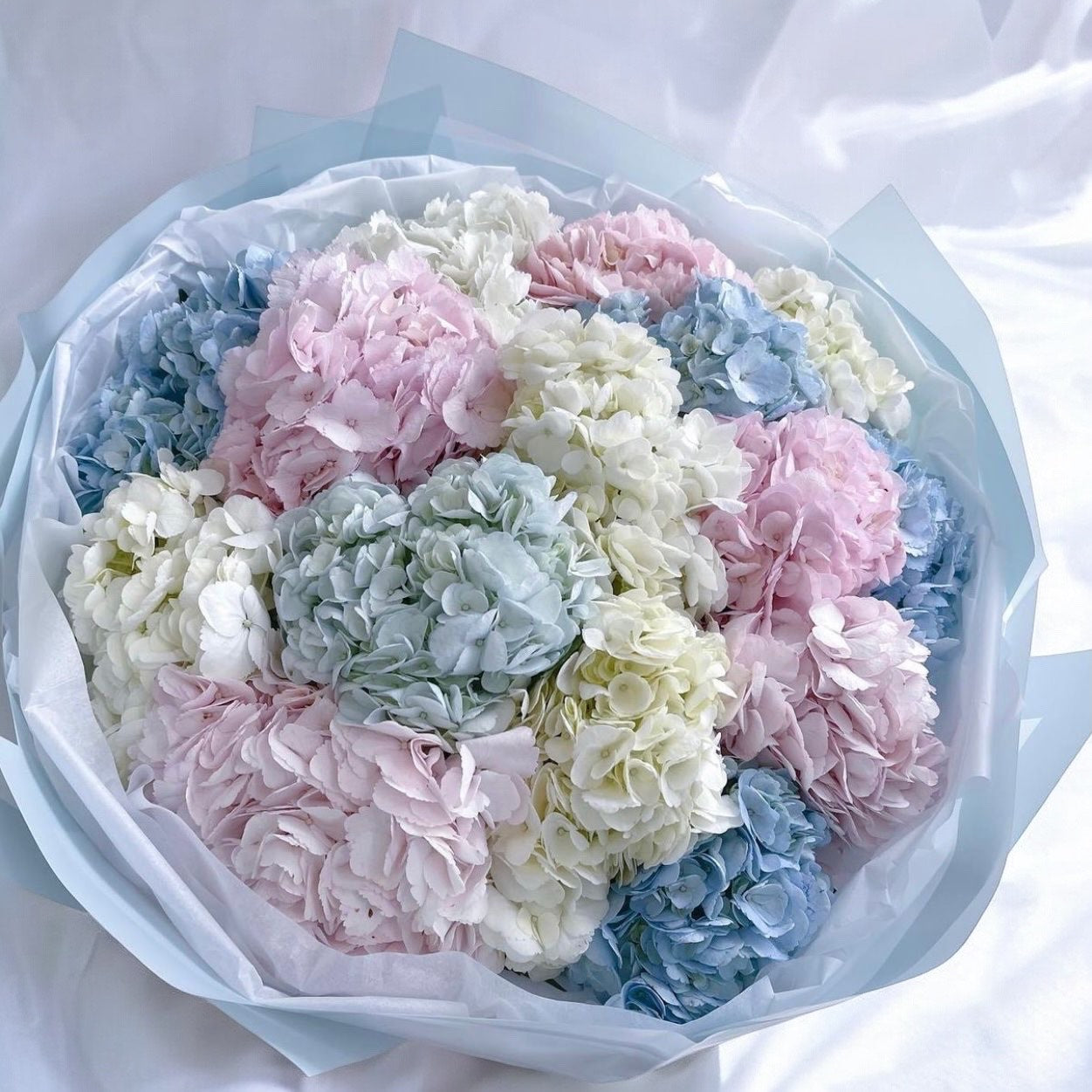 Airy Composition of Hydrangeas