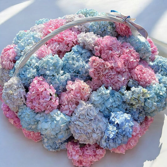 100 hydrangeas in a basket