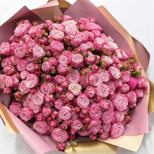 100 pink spray roses