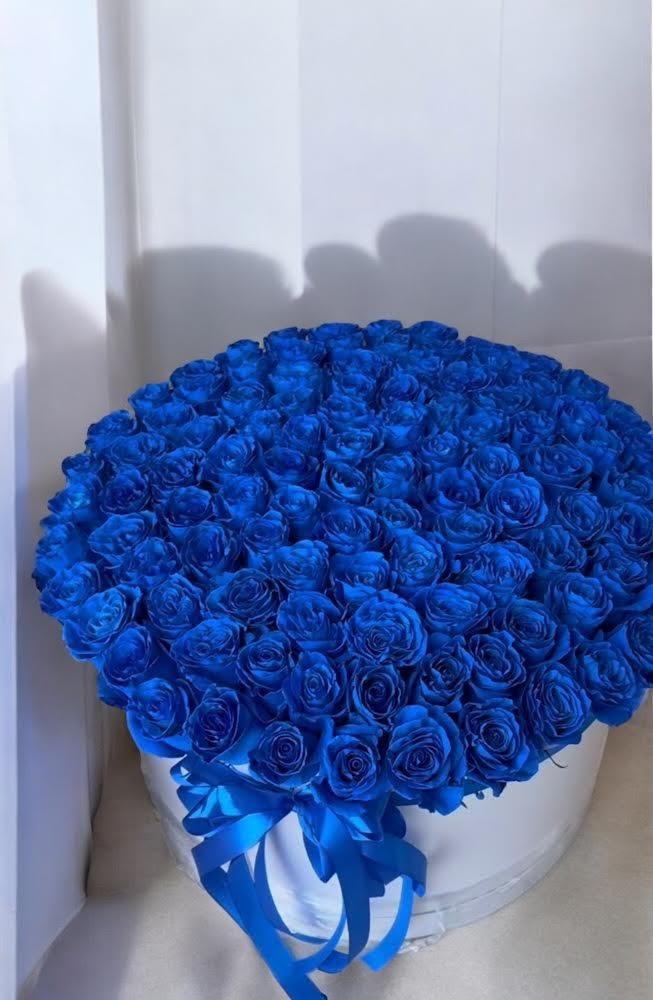 Elegant Blue Roses in a box