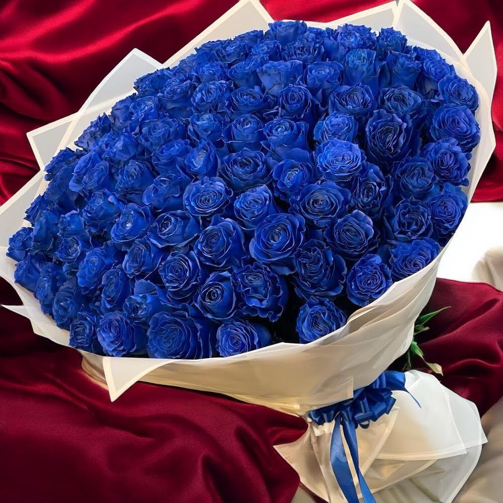 Enchanting Blue Roses